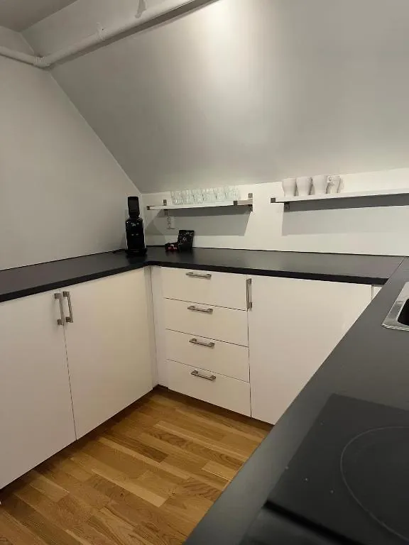 公寓 Bryggen Suites - Prime Location, 2 Minutes From Bryggen 卑爾根